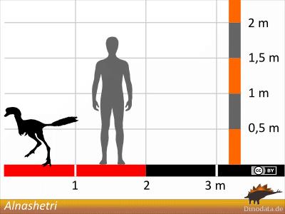 Größenvergleich / Dinodata.de. Creative Commons 4.0 International (CC BY 4.0) Größenvergleich © Dinodata.de. Creative Commons 4.0 International (CC BY 4.0)