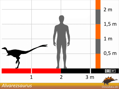 Größenvergleich / Dinodata.de. Creative Commons 4.0 International (CC BY 4.0) Größenvergleich © Dinodata.de. Creative Commons 4.0 International (CC BY 4.0)