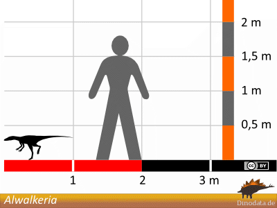Größenvergleich / Dinodata.de. Creative Commons 4.0 International (CC BY 4.0) Größenvergleich © Dinodata.de. Creative Commons 4.0 International (CC BY 4.0)