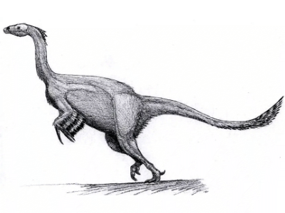 Alxasaurus / © Øyvind M. Padron. Verwendet mit freundlicher Genehmigung des Autors. Alxasaurus / © Øyvind M. Padron. Verwendet mit freundlicher Genehmigung des Autors.
