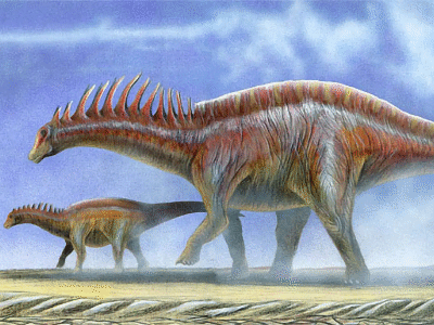 Amargasaurus / © Bruno Hernandez. Verwendet mit freundlicher Genehmigung des Autors.