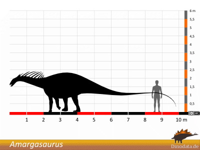 Größenvergleich / Dinodata.de. Creative Commons 4.0 International (CC BY 4.0) Größenvergleich © Dinodata.de. Creative Commons 4.0 International (CC BY 4.0)