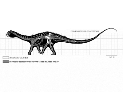 Amazonsaurus / © Felipe Alves Elias. Verwendet mit freundlicher Genehmigung des Autors. Amazonsaurus / © Felipe Alves Elias. Verwendet mit freundlicher Genehmigung des Autors.