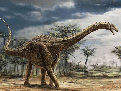 Ampelosaurus & Tarascosaurus / © Alain Beneteau. Verwendet mit freundlicher Genehmigung des Autors. Ampelosaurus & Tarascosaurus / © Alain Beneteau. Verwendet mit freundlicher Genehmigung des Autors.