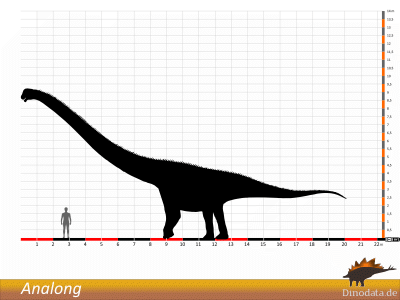 Größenvergleich / Dinodata.de. Creative Commons 4.0 International (CC BY 4.0)