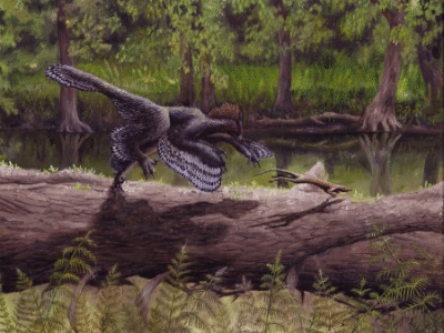 Jeholornis
/ © Emily Willoughby. Verwendet mit freundlicher Genehmigung der Autorin Jeholornis
/ © Emily Willoughby. Verwendet mit freundlicher Genehmigung der Autorin