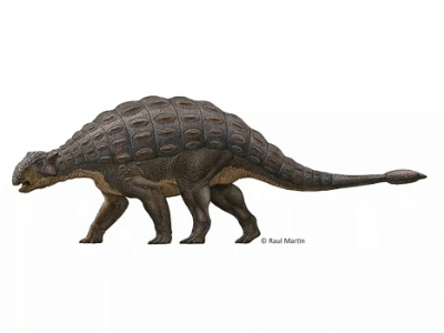 Ankylosaurus / © Raul Martin Ankylosaurus / © Raul Martin. Verwendet mit freundlicher Genehmigung des Autors.