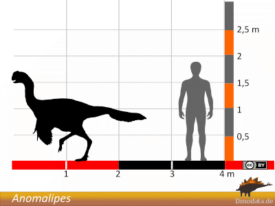 Größenvergleich / Dinodata.de. Creative Commons 4.0 International (CC BY 4.0)