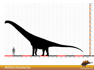Größenvergleich / Dinodata.de. Creative Commons 4.0 International (CC BY 4.0) Größenvergleich © Dinodata.de. Creative Commons 4.0 International (CC BY 4.0)