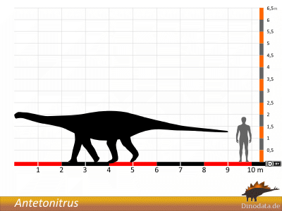 Größenvergleich / Dinodata.de. Creative Commons 4.0 International (CC BY 4.0)