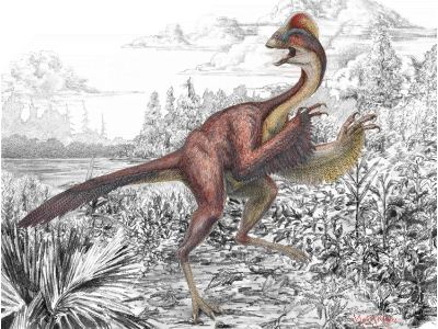 Zeichnung des Zeichnung des Anzu / © Mark Klingler / Carnegie Museum of Natural History. Verwendet mit freundlicher Genehmigung des Autors. Zeichnung des Anzu / © Mark Klingler / Carnegie Museum of Natural History. Verwendet mit freundlicher Genehmigung des Autors.