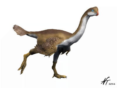 Apatoraptor / © N. Tamura. Verwendet mit freundlicher Genehmigung des Autors Apatoraptor / © N. Tamura. Verwendet mit freundlicher Genehmigung des Autors