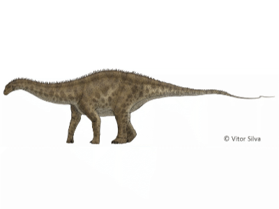 Apatosaurus / © Vitor Silva. Verwendet mit freundlicher Genehmigung des Autors Apatosaurus / © Vitor Silva. Verwendet mit freundlicher Genehmigung des Autors