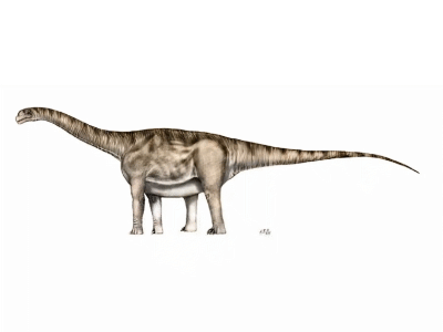 Aragosaurus / © Sergio Perez. Verwendet mit freundlicher Genehmigung des Autors. Aragosaurus / © Sergio Perez. Verwendet mit freundlicher Genehmigung des Autors.