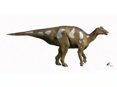 Arenysaurus / © N. Tamura. Verwendet mit freundlicher Genehmigung des Autors. Arenysaurus / © N. Tamura. Verwendet mit freundlicher Genehmigung des Autors.