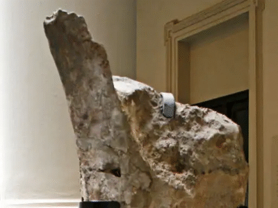 Femur des Argentinosaurus / Tom Duca. Creative Commons ShareAlike 2.0 Generic (CC BY-SA 2.0) Femur des Argentinosaurus / Tom Duca. Creative Commons ShareAlike 2.0 Generic (CC BY-SA 2.0)