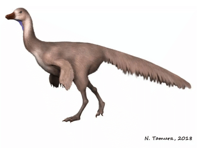 Arkansaurus / © N. Tamura. Creative Commons 4.0 Attribution-ShareAlike 4.0 International (CC BY-SA 4.0) Arkansaurus / © N. Tamura. Creative Commons 4.0 Attribution-ShareAlike 4.0 International (CC BY-SA 4.0)