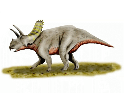 Arrhinoceratops / © N. Tamura. Verwendet mit freundlicher Genehmigung des Autors. Arrhinoceratops / © N. Tamura. Verwendet mit freundlicher Genehmigung des Autors.