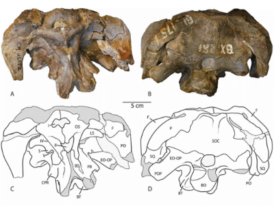 Verwendet mit freundlicher Genehmigung des Autors
