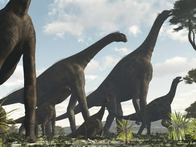 Atlasaurus / © Raul Lunia. Verwendet mit freundlicher Genehmigung des Autors.