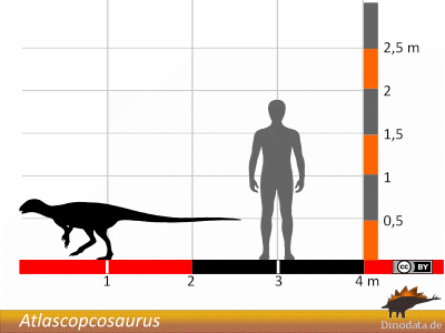 Größenvergleich / Dinodata.de. Creative Commons 4.0 International (CC BY 4.0)
