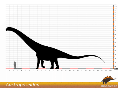 Größenvergleich © Dinodata.de. Creative Commons 4.0 International (CC BY 4.0) Größenvergleich / Dinodata.de. Creative Commons 4.0 International (CC BY 4.0)