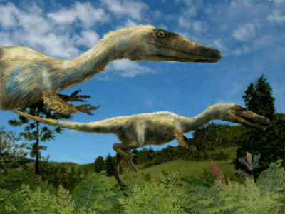 Austroraptor / © Beate Basner. Verwendet mit freundlicher Genehmigung der Autorin.