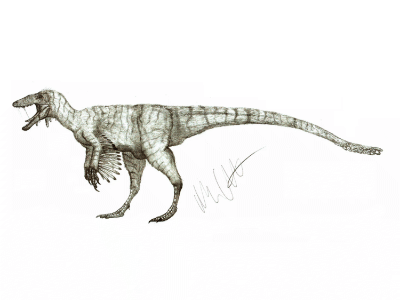 Aviatyrannus / © Robinson Kunz. Verwendet mit freundlicher Genehmigung des Autors. Aviatyrannus / © Robinson Kunz. Verwendet mit freundlicher Genehmigung des Autors.