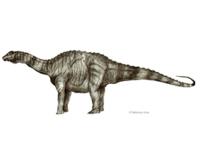 Brasilotitan / © Robinson Kunz. Verwendet mit freundlicher Genehmigung des Autors. Brasilotitan / © Robinson Kunz. Verwendet mit freundlicher Genehmigung des Autors.