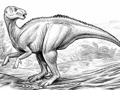 Bactrosaurus / © Luc J. Bailly. Verwendet mit freundlicher Genehmigung des Autors.