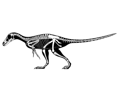 Balaur / Jaime Headden. Creative Commons NonCommercial-NoDerivs 3.0 Unported (CC BY-NC-ND 3.0) Balaur / Jaime Headden. Creative Commons NonCommercial-NoDerivs 3.0 Unported (CC BY-NC-ND 3.0)