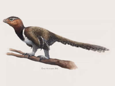 Balaur / © Emily Willoughby. Verwendet mit freundlicher Genehmigung der Autorin. Balaur / © Emily Willoughby. Verwendet mit freundlicher Genehmigung der Autorin.
