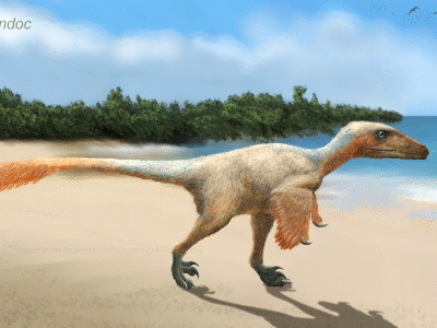Balaur / © Beate Basner. Verwendet mit freundlicher Genehmigung der Autorin Balaur / © Beate Basner. Verwendet mit freundlicher Genehmigung der Autorin