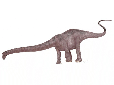 Barosaurus / © Mineo Shiraishi. Verwendet mit freundlicher Genehmigung des Autors. Barosaurus / © Mineo Shiraishi. Verwendet mit freundlicher Genehmigung des Autors.