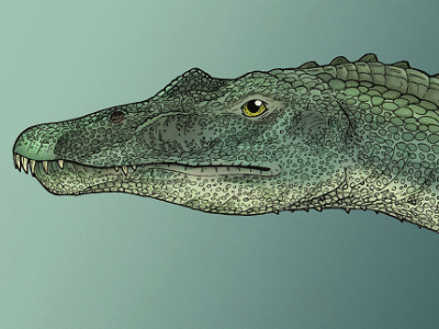 Baryonyx / © Maija Karala. Verwendet mit freundlicher Genehmigung der Autorin Baryonyx / © Maija Karala. Verwendet mit freundlicher Genehmigung der Autorin