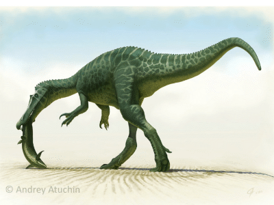 Baryonyx / © Andrey Atuchin. Verwendet mit freundlicher Genehmigung des Autors. Baryonyx / © Andrey Atuchin. Verwendet mit freundlicher Genehmigung des Autors.