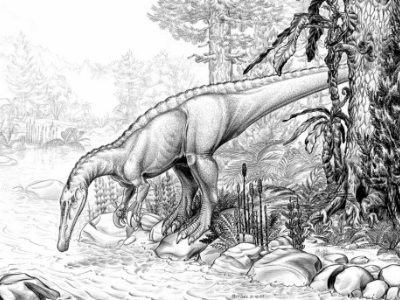 Baryonyx / © Luc J. Bailly Baryonyx / © Luc J. Bailly. Verwendet mit freundlicher Genehmigung des Autors.