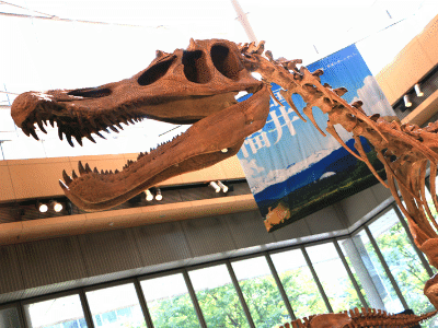 Schädel des Baryonyx / Hideya Hamano. Creative Commons NonCommercial-NoDerivs 2.0 Generic (CC BY-NC-ND 2.0) Schädel des Baryonyx / Hideya Hamano. Creative Commons NonCommercial-NoDerivs 2.0 Generic (CC BY-NC-ND 2.0)