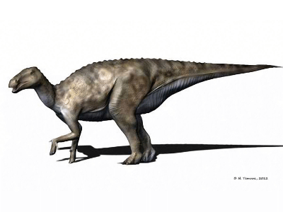 Batyrosaurus / © N. Tamura. Verwendet mit freundlicher Genehmigung des Autors. Batyrosaurus / © N. Tamura. Verwendet mit freundlicher Genehmigung des Autors.
