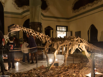 Bellusaurus / Tom Raftery. Creative Commons NonCommercial-ShareAlike 2.0 Generic (CC BY-NC-SA 2.0) Bellusaurus / Tom Raftery. Creative Commons NonCommercial-ShareAlike 2.0 Generic (CC BY-NC-SA 2.0)