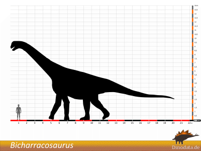 Größenvergleich / © Dinodata.de. Creative Commons 4.0 International (CC BY 4.0)