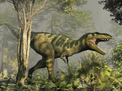 Bistahieversor / © Raul Lunia. Verwendet mit freundlicher Genehmigung des Autors. Bistahieversor / © Raul Lunia. Verwendet mit freundlicher Genehmigung des Autors.