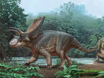 Bisticeratops / © Andrej Atuchin Bisticeratops / © Andrej Atuchin