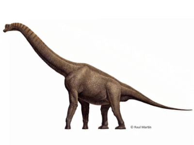 Brachiosaurus / © Raul Martin. Verwendet mit freundlicher Genehmigung des Autors.