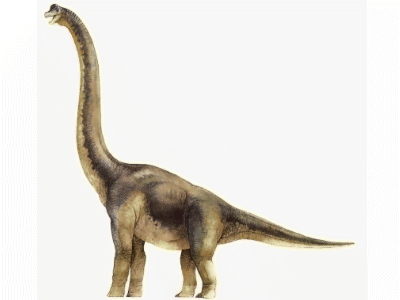 Brachiosaurus / © Bruno Hernandez. Verwendet mit freundlicher Genehmigung des Autors.