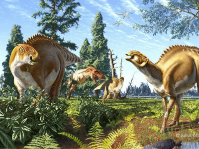 Brachylophosaurus / © Julius T. Csotonyi. Verwendet mit freundlicher Genehmigung des Autors.