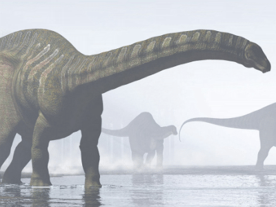 Brontosaurus / © James Kuether. Verwendet mit freundlicher Genehmigung des Autors Brontosaurus / © James Kuether. Verwendet mit freundlicher Genehmigung des Autors