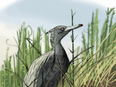 Buitreraptor / © Matt Martyniuk Buitreraptor / © Matt Martyniuk. Verwendet mit freundlicher Genehmigung des Autors.