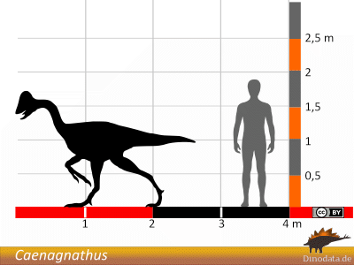 Größenvergleich / Dinodata.de. Creative Commons 4.0 International (CC BY 4.0) Größenvergleich / Dinodata.de. Creative Commons 4.0 International (CC BY 4.0)