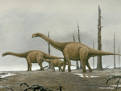 Camarasaurus / © Arturo de Miguel. Verwendet mit freundlicher Genehmigung des Autors.